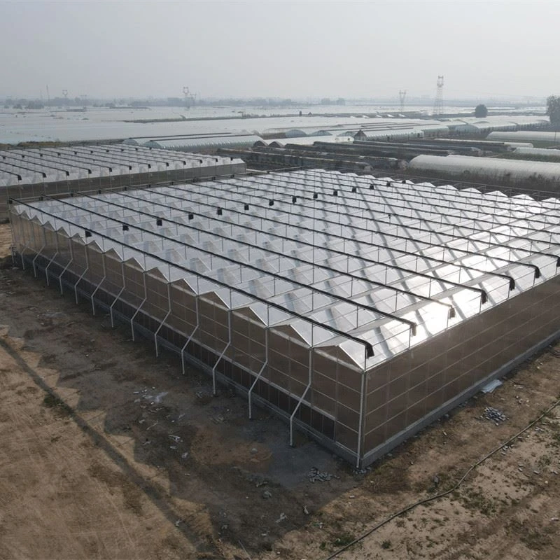 Polycarbonate Sheet Greenhouse Frame
